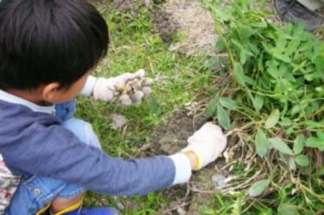 日替わりプログラムイメージ写真