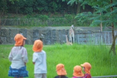 体験型プログラム