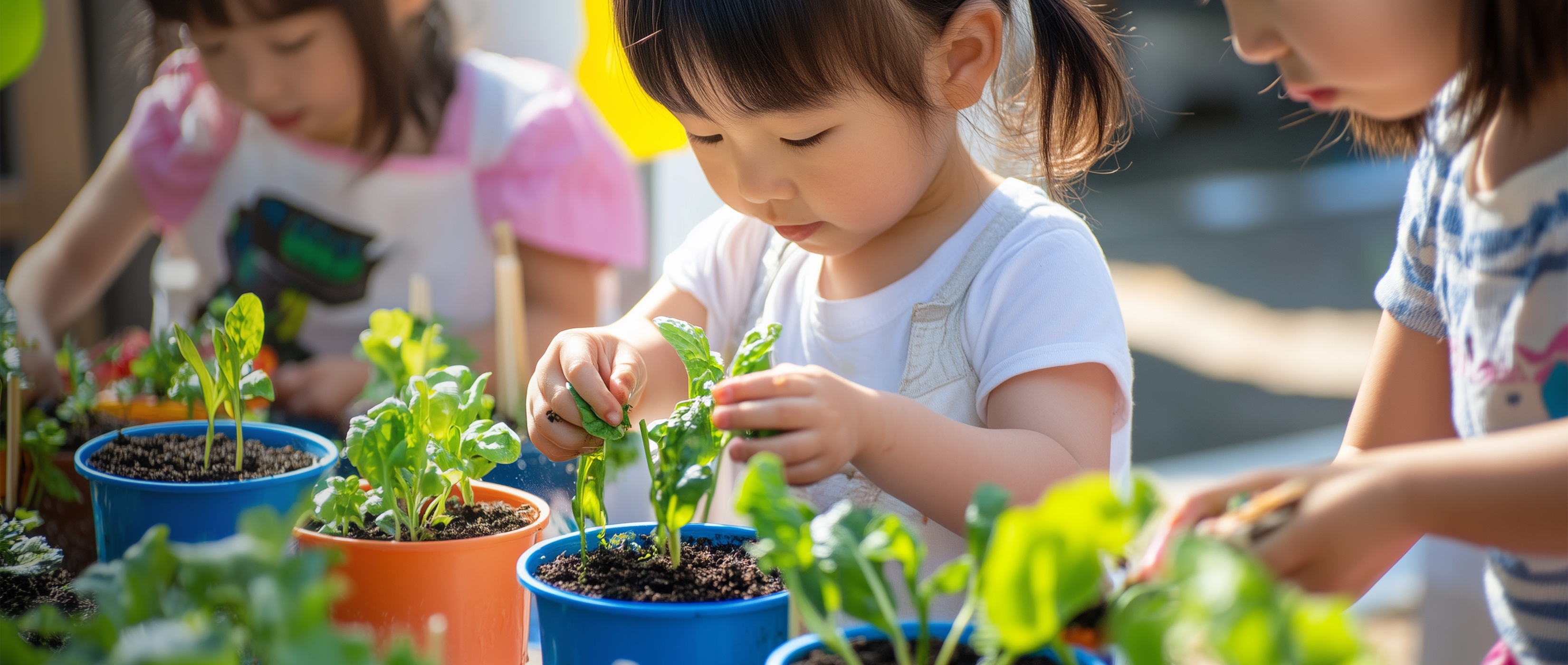 個別療育と集団療育